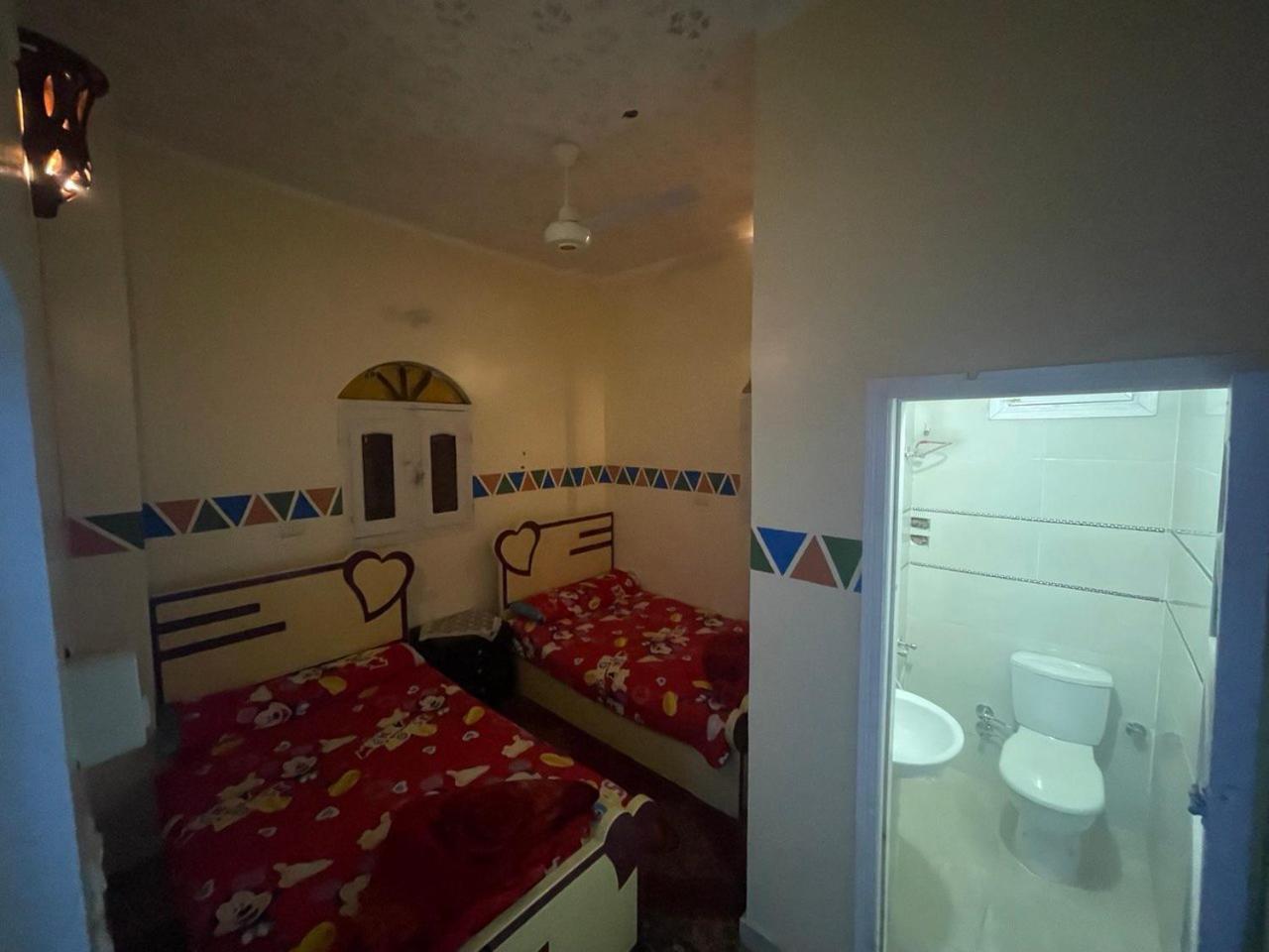 Shater Nubian House Aswan Exterior photo