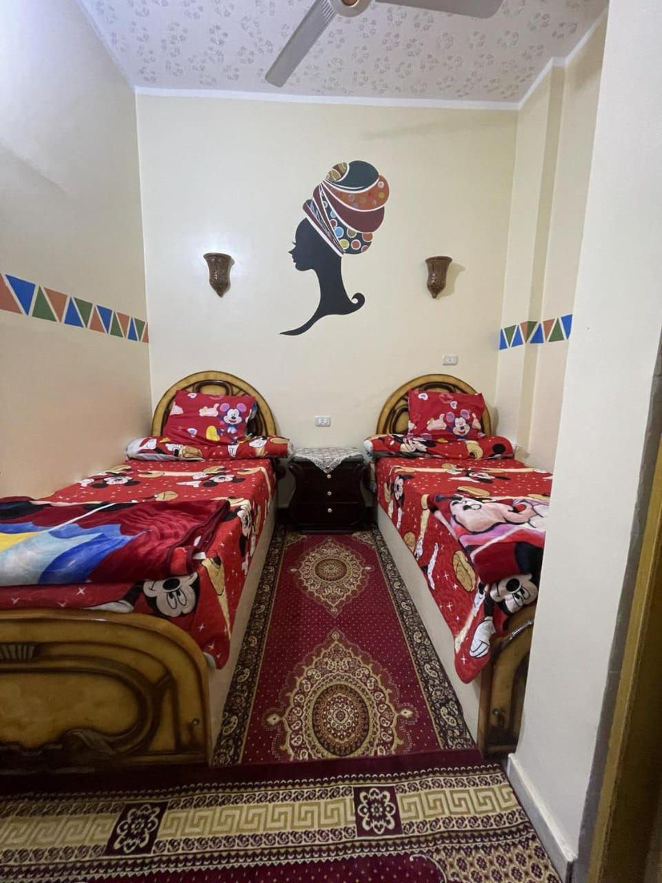 Shater Nubian House Aswan Exterior photo
