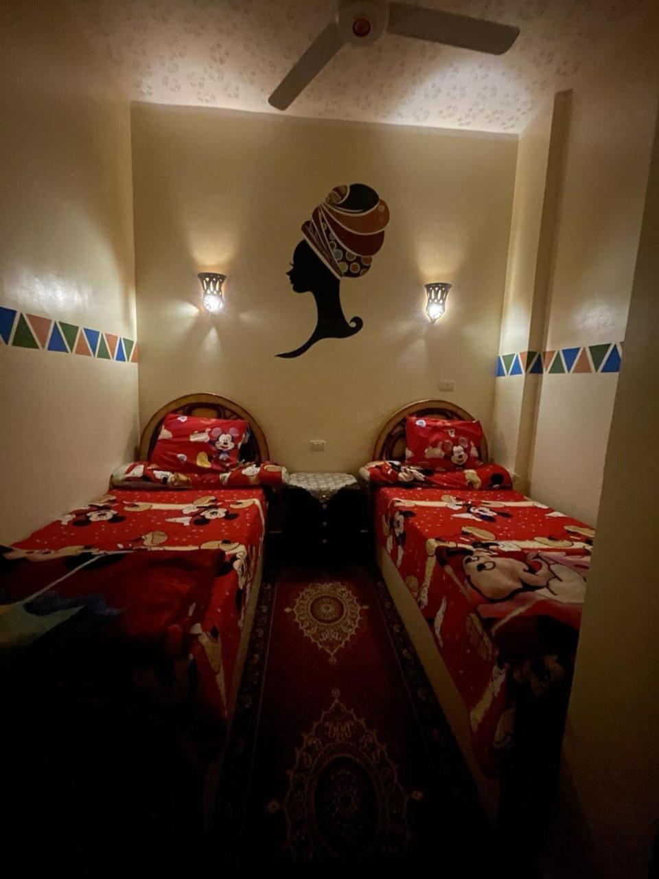 Shater Nubian House Aswan Exterior photo
